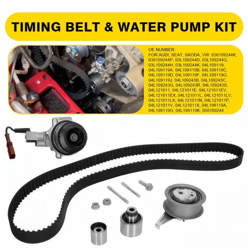 Timing belt water - timing, pump