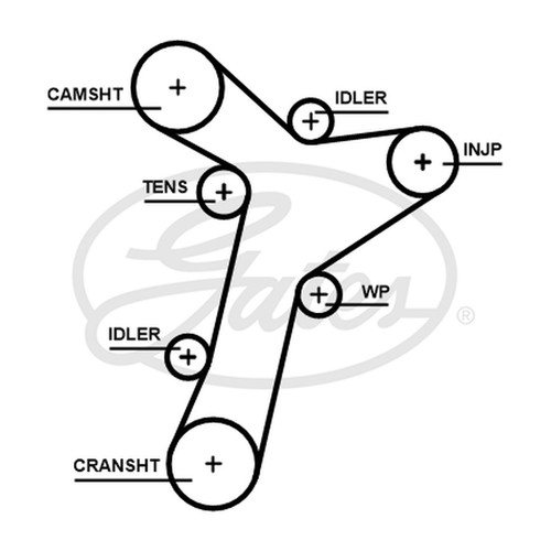 Timing belt water - timing,